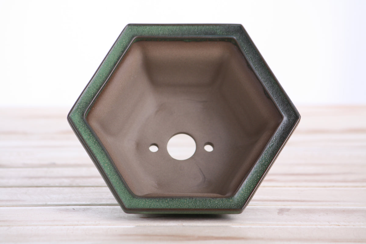 Hexagonal Windowed Semi‑Cascade Bonsai Pot 5 Inch – Ceramic Bonsai & Succulent Planter with Detailed Rim, High‑Fired Frost‑Proof Stoneware, Handmade in USA (Avocado)