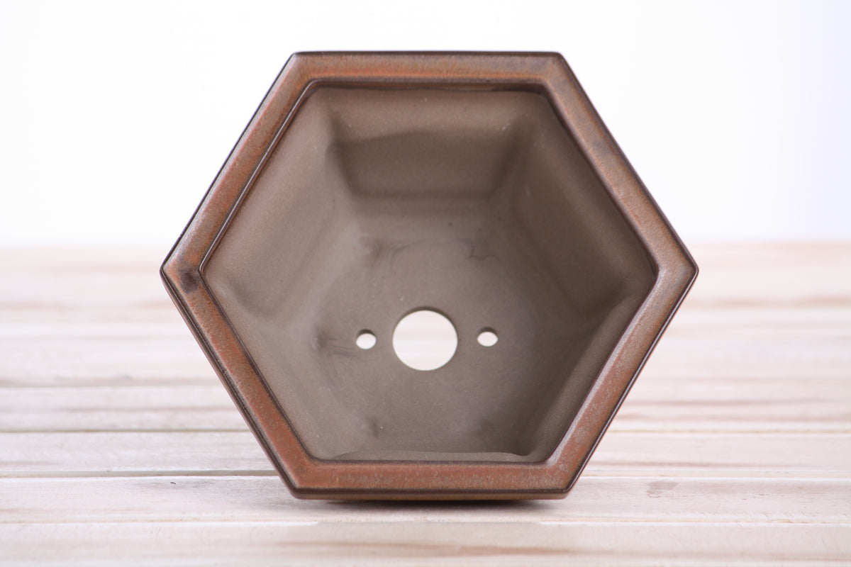 Hexagonal Windowed Semi‑Cascade Bonsai Pot 5 Inch – Ceramic Bonsai & Succulent Planter with Detailed Rim, High‑Fired Frost‑Proof Stoneware, Handmade in USA (Deep Stone)