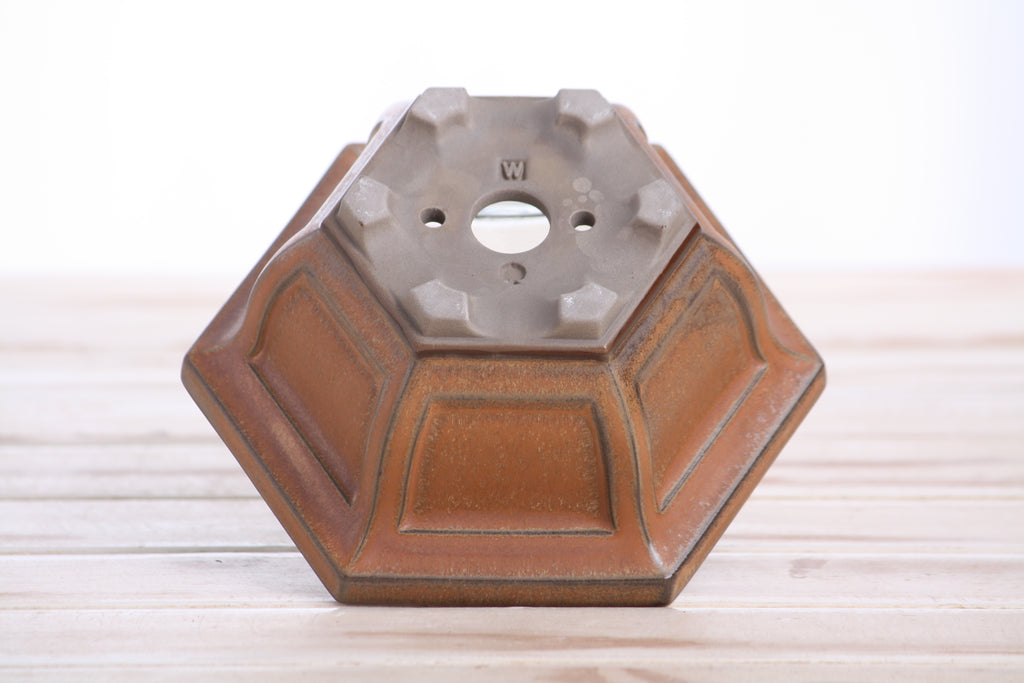 Hexagonal Windowed Semi‑Cascade Bonsai Pot 5 Inch – Ceramic Bonsai & Succulent Planter with Detailed Rim, High‑Fired Frost‑Proof Stoneware, Handmade in USA (Deep Stone)
