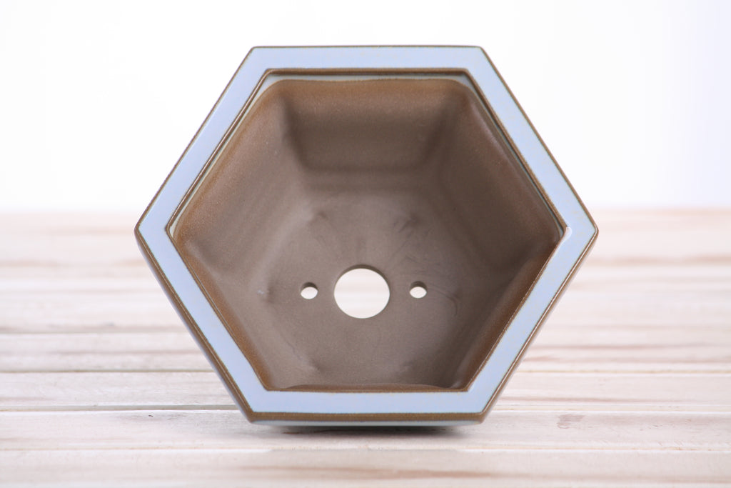 Hexagonal Windowed Semi‑Cascade Bonsai Pot 5 Inch – Ceramic Bonsai & Succulent Planter with Detailed Rim, High‑Fired Frost‑Proof Stoneware, Handmade in USA (Glacier)