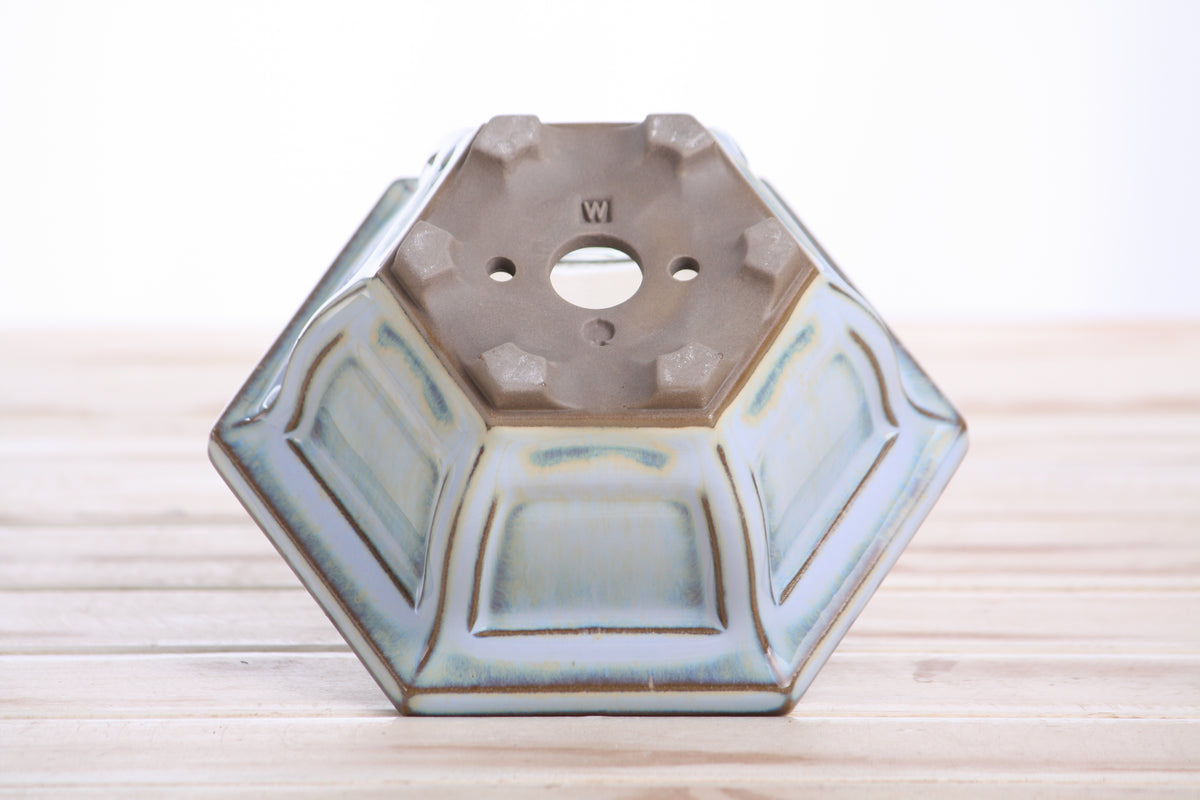 Hexagonal Windowed Semi‑Cascade Bonsai Pot 5 Inch – Ceramic Bonsai & Succulent Planter with Detailed Rim, High‑Fired Frost‑Proof Stoneware, Handmade in USA (Glacier)