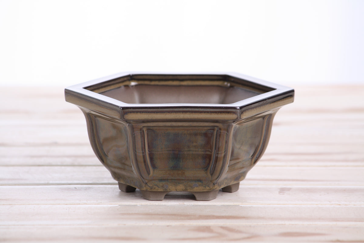Hexagonal Windowed Semi‑Cascade Bonsai Pot 5 Inch – Ceramic Bonsai & Succulent Planter with Detailed Rim, High‑Fired Frost‑Proof Stoneware, Handmade in USA (Dark Honey)