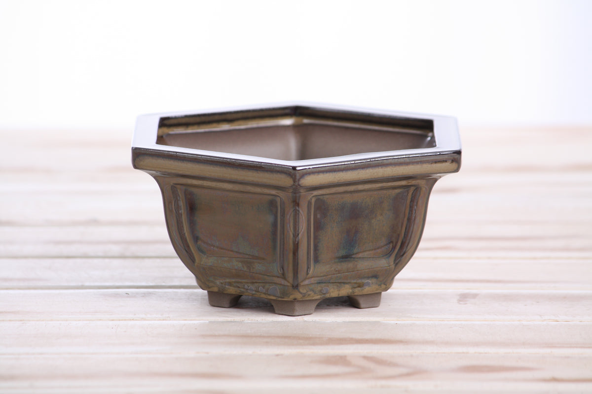 Hexagonal Windowed Semi‑Cascade Bonsai Pot 5 Inch – Ceramic Bonsai & Succulent Planter with Detailed Rim, High‑Fired Frost‑Proof Stoneware, Handmade in USA (Dark Honey)