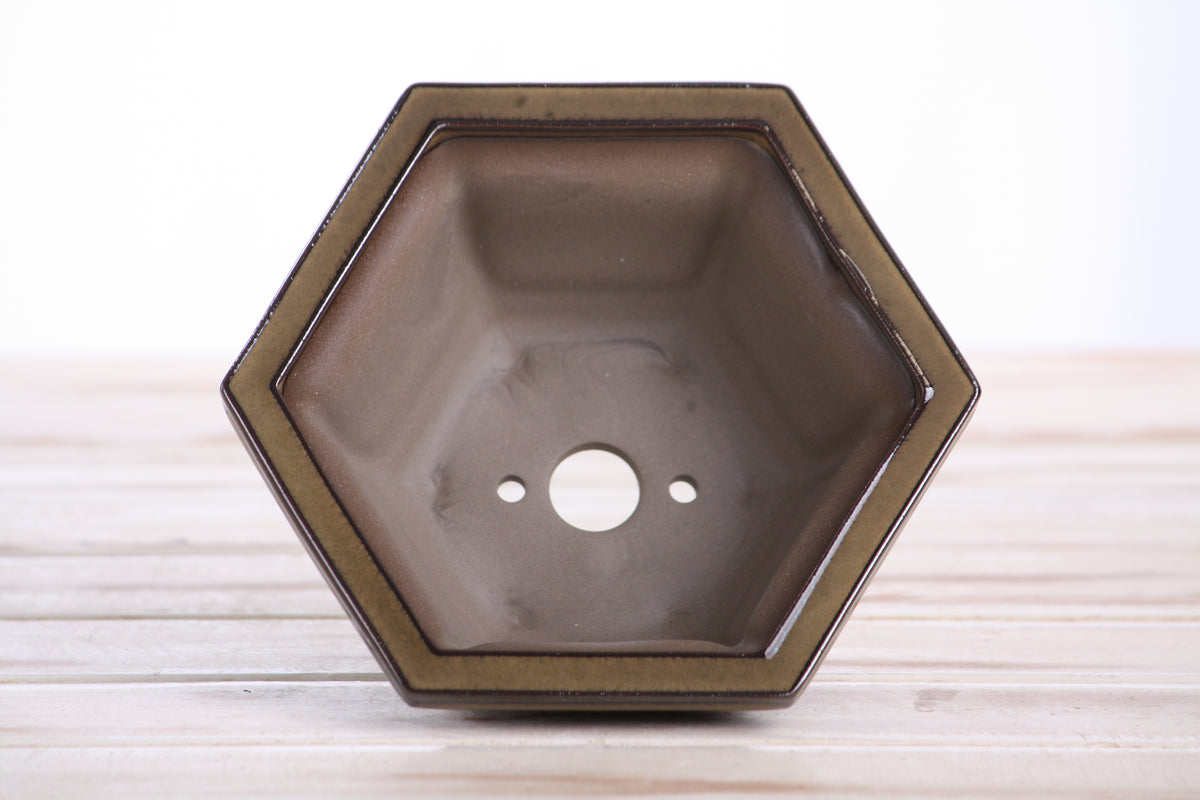 Hexagonal Windowed Semi‑Cascade Bonsai Pot 5 Inch – Ceramic Bonsai & Succulent Planter with Detailed Rim, High‑Fired Frost‑Proof Stoneware, Handmade in USA (Dark Honey)