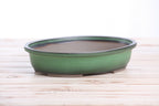 Landscape Oval A Bonsai Pot 10 Inch – Large Oval Ceramic Bonsai Planter for Forest & Group Plantings, Detailed Rim, High‑Fired Frost‑Proof Stoneware, Handmade in USA (Avocado)