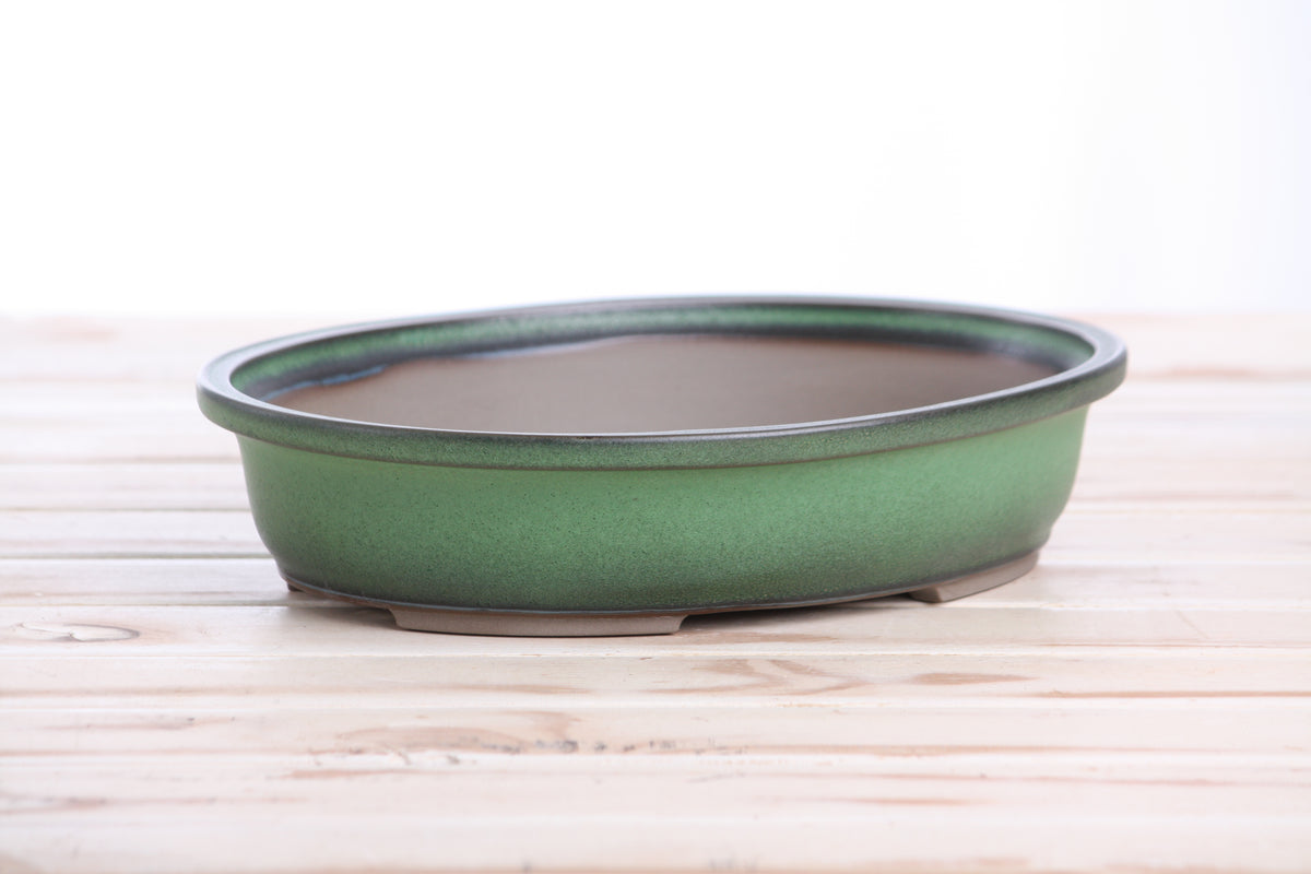 Landscape Oval A Bonsai Pot 10 Inch – Large Oval Ceramic Bonsai Planter for Forest & Group Plantings, Detailed Rim, High‑Fired Frost‑Proof Stoneware, Handmade in USA (Avocado)