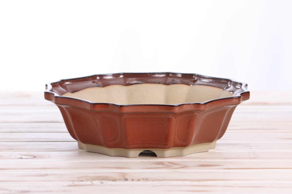 Willow Bonsai Ceramics Flower Design Bonsai Pot 10 Inch – Elegant Ceramic Bonsai & Succulent Planter, High‑Fired Frost‑Proof Stoneware with Drainage & Wiring Holes, Handmade in USA (Sunset)
