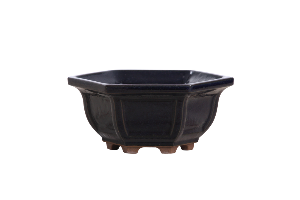 Willow Bonsai Ceramics Hexagonal Windowed Bonsai Pot 5 Inch – Semi‑Cascade Planter, High‑Fired Frost‑Proof Stoneware with Drainage & Wiring Holes, Handmade in USA (Ruri)