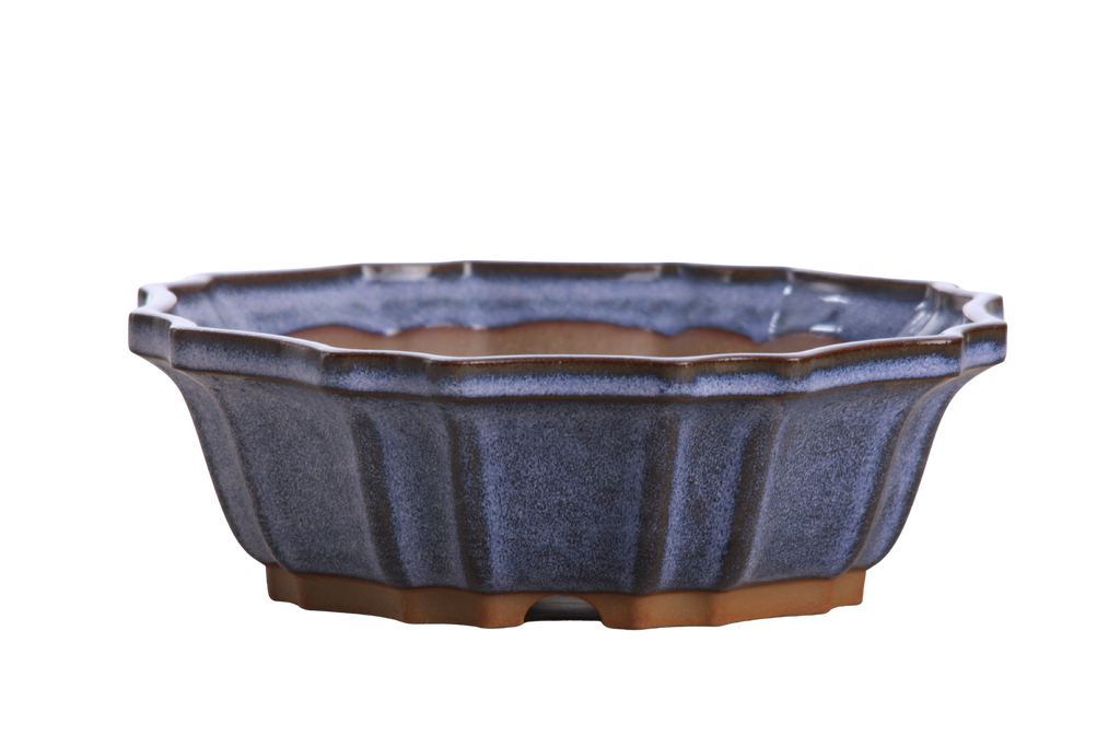 Willow Bonsai Ceramics Flower Design Bonsai Pot 8 Inch – Elegant Ceramic Bonsai & Succulent Planter, High‑Fired Frost‑Proof Stoneware with Drainage & Wiring Holes, Handmade in USA (Denim)